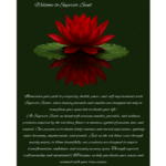 Libra Edition - Image 2