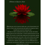 Sagittarius Edition - Image 2