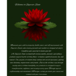Capricorn Edition - Image 2