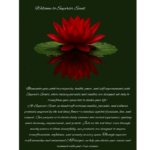 Aries Edition - Image 2