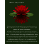 Virgo Edition - Image 2