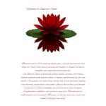 Scorpio Edition - Image 5