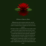 Taurus – The Grounded One - Image 2