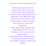 Capricorn – The Achiever - Image 3