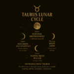 Taurus Edition